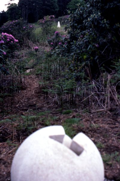 image011